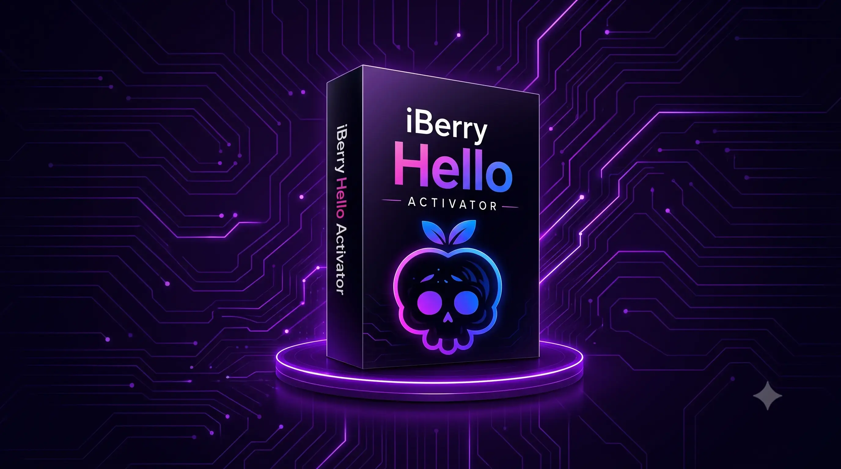 iBerry Hello Activator - 11
