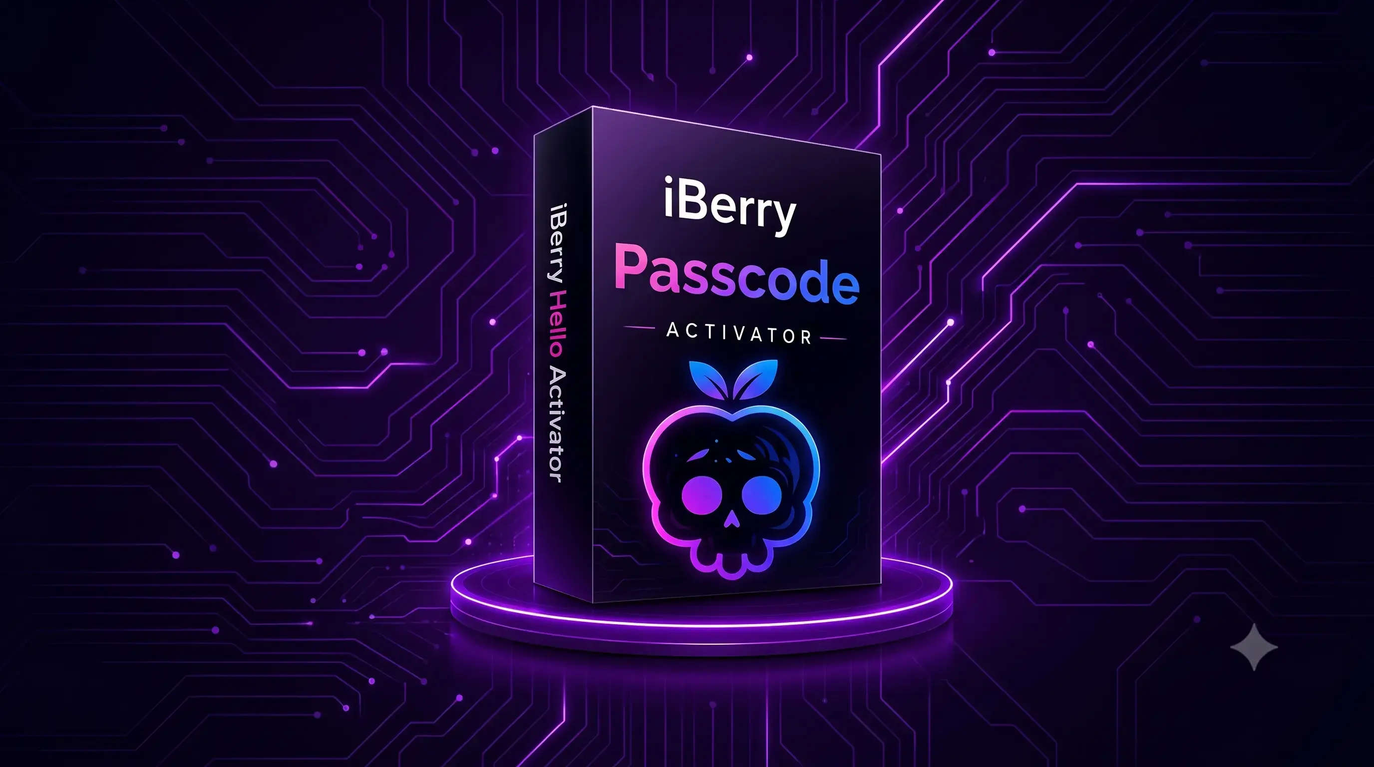 iBerry - iPhone 11 Pro Max Passcode Bypass Full Signal iOS17-27